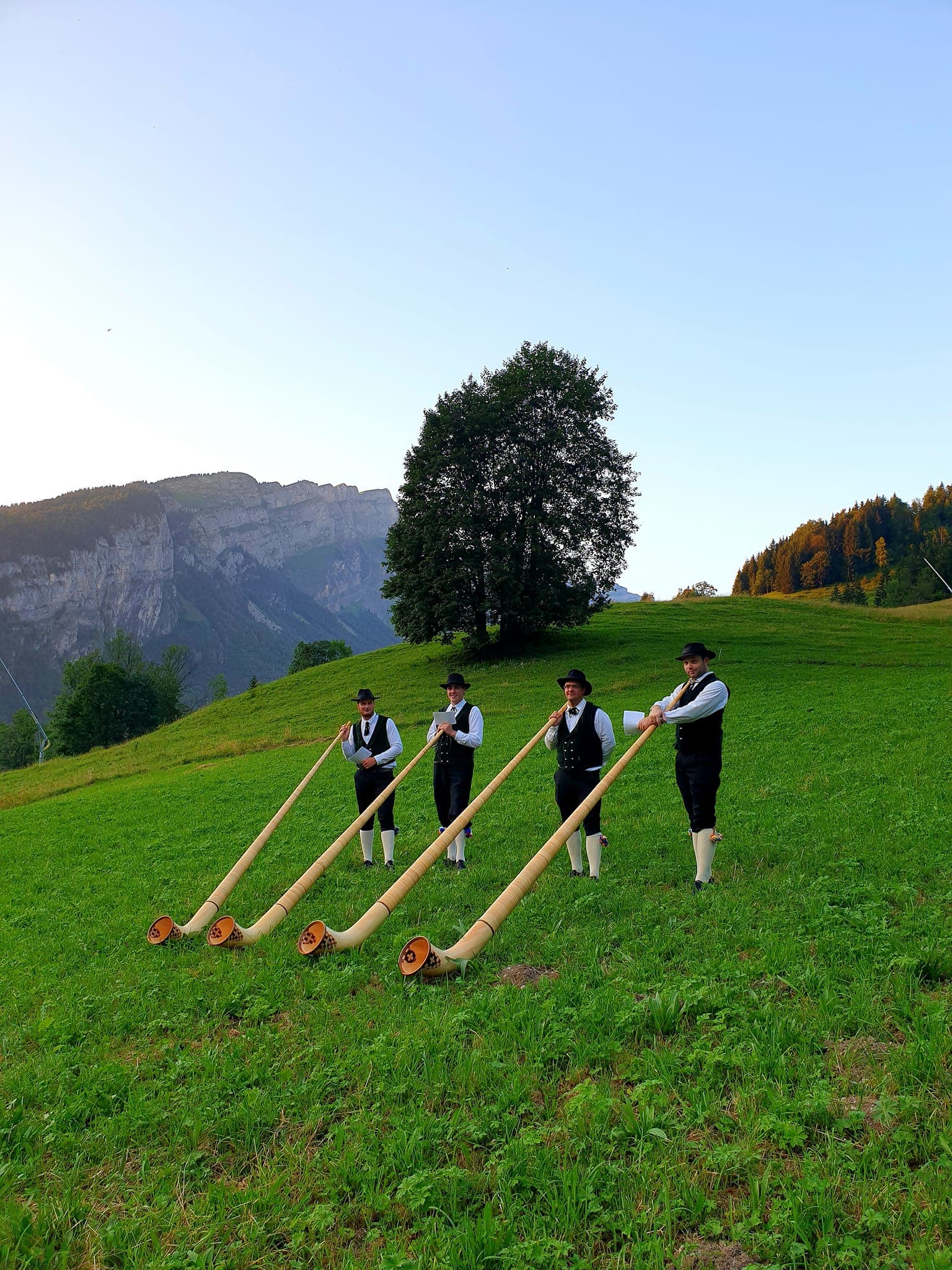 Quatre musiciens jouant du cor des Alpes
